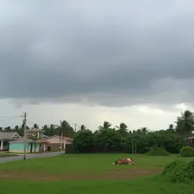 vendaval em Aracaju