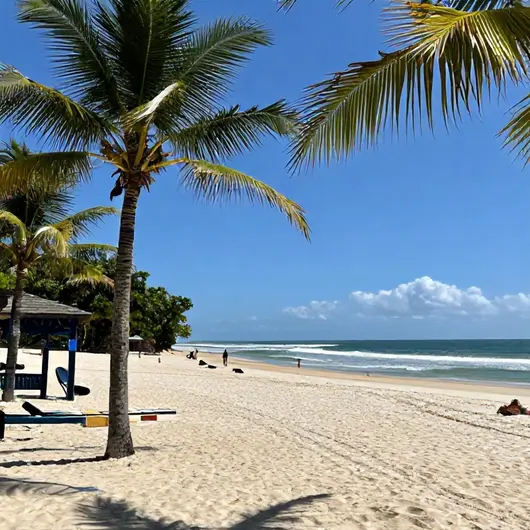 Balneabilidade nas Praias de Aracaju: O Que Você Precisa Saber Balneabilidade nas Praias de Aracaju: O Que Você Precisa Saber