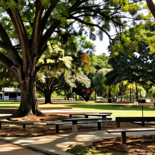 Cajueiro Park: Um Oásis de Natureza e Lazer Cajueiro Park: Um Oásis de Natureza e Lazer