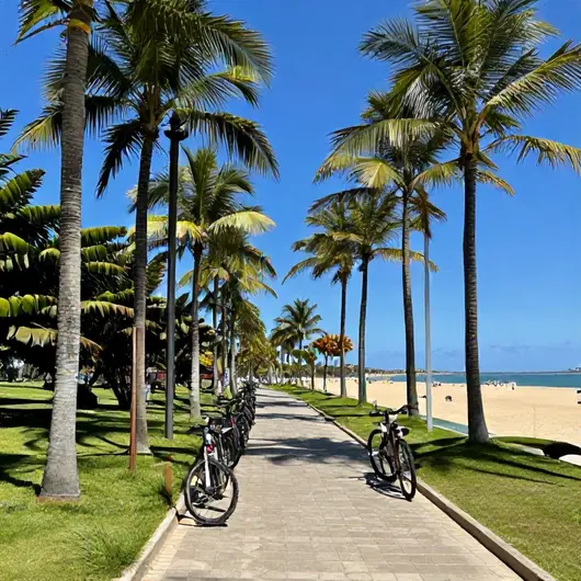 Ciclismo em Aracaju: Descubra as Melhores Rotas e Dicas Ciclismo em Aracaju: Descubra as Melhores Rotas e Dicas