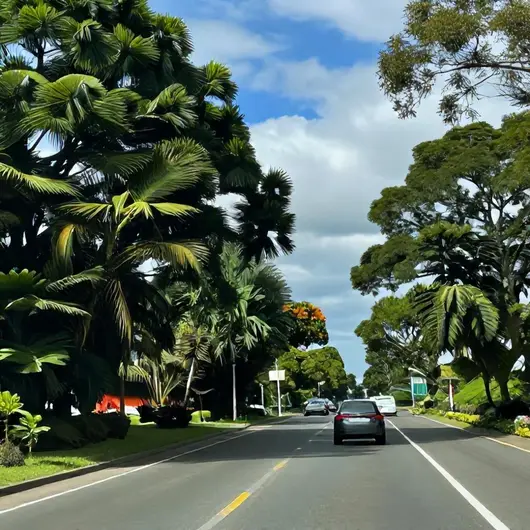 Como Chegar a Aracaju de Carro pela BR-101