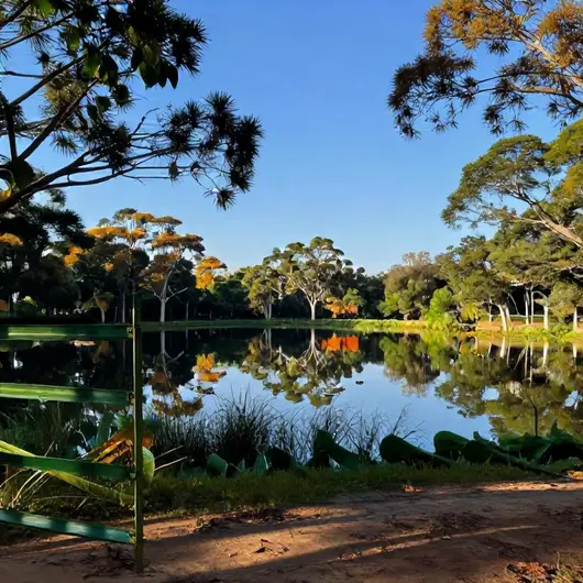 Conheça a Reserva de Santa Isabel em Pirambu – Arte e Natureza na Costa Sergipana Conheça a Reserva de Santa Isabel em Pirambu - Arte e Natureza na Costa Sergipana