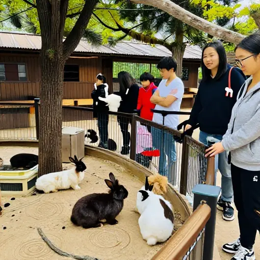 Conheça o PET ZOO