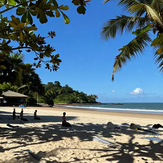 Descubra a Fotografia de Natureza em Aracaju