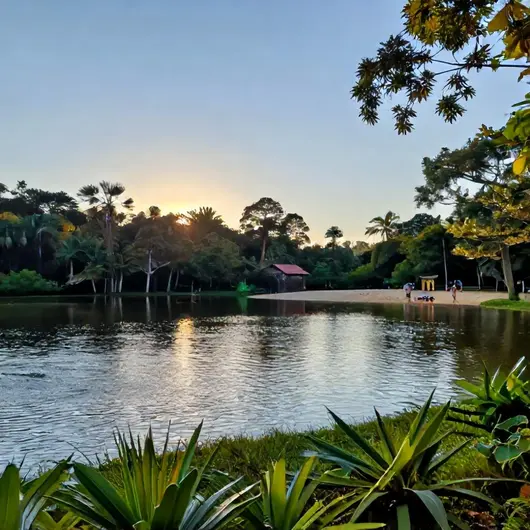 Descubra a Lagoa dos Tambaquis