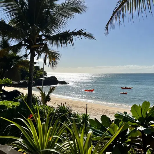 Descubra a Praia Costão dos Náufragos Descubra a Praia Costão dos Náufragos