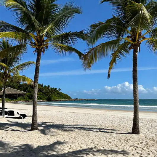 Descubra a Praia dos Náufragos