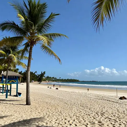 Descubra Âncora Beach Descubra Âncora Beach
