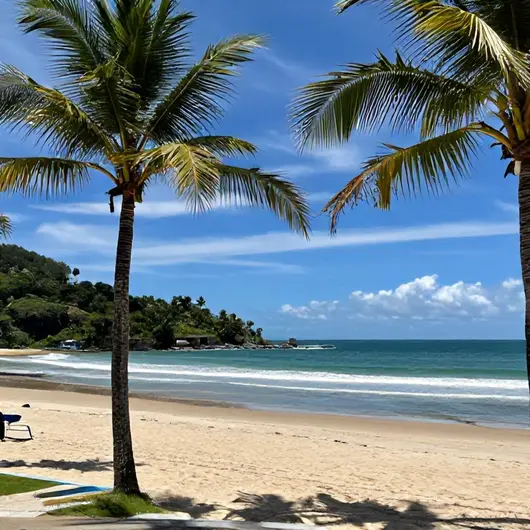 Descubra Barra Dos Coqueiros: Um Paraíso à Beira do Mar Descubra Barra Dos Coqueiros: Um Paraíso à Beira do Mar