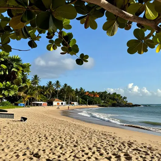 Descubra Mangue Seco Descubra Mangue Seco