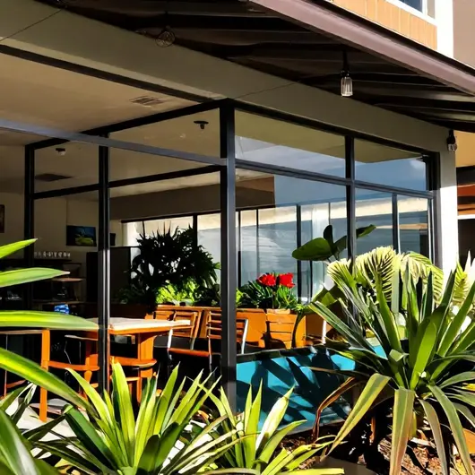 Descubra o Melhor da Família Renovada Descubra o Melhor da Família Renovada