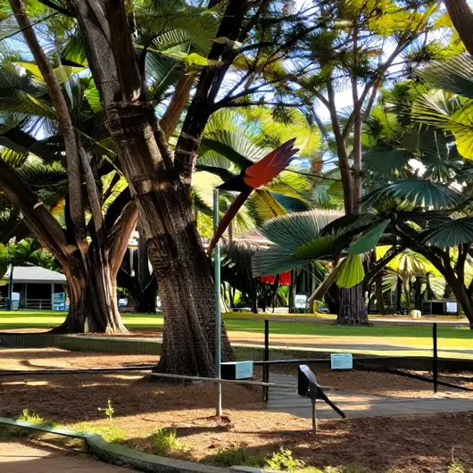 Descubra o Parque dos Falcões