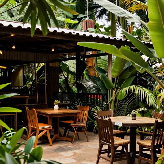 Descubra O Terraço