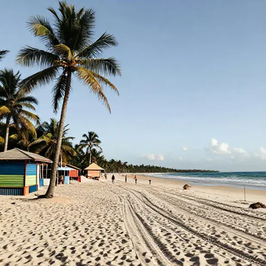 Descubra os Melhores Passeios em Sergipe Descubra os Melhores Passeios em Sergipe