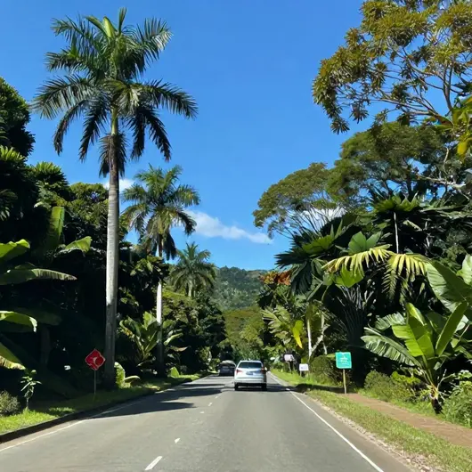 Distâncias até Aracaju: Como Chegar de Carro Distâncias até Aracaju: Como Chegar de Carro