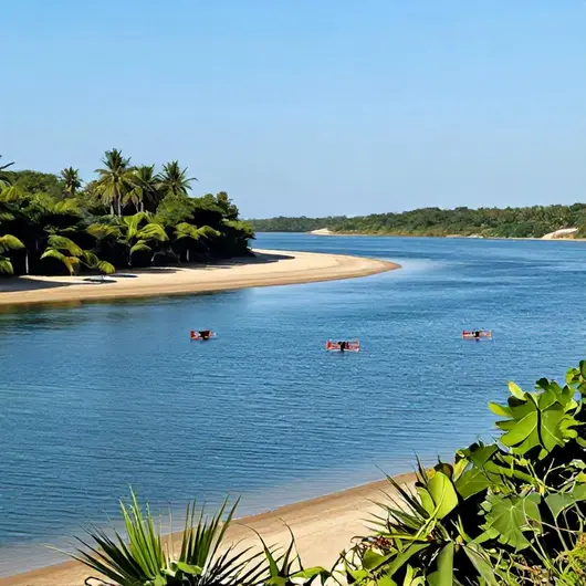 Explore a Foz Do Rio São Francisco