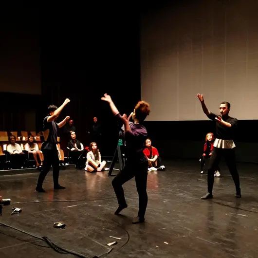 Festival Galeria da Dança