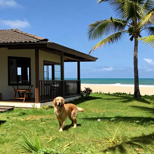 Hospedagens em Aracaju que Aceitam Pets: Acomodações para Viajar com seu Melhor Amigo