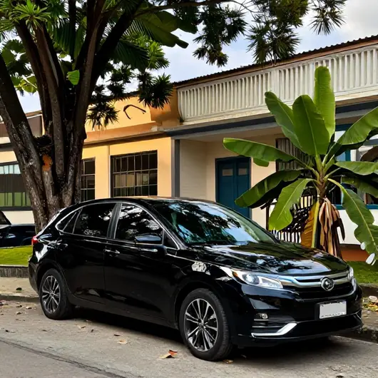 L C Trans VIP Tour: Sua Opção de Transporte Executivo L C Trans VIP Tour: Sua Opção de Transporte Executivo