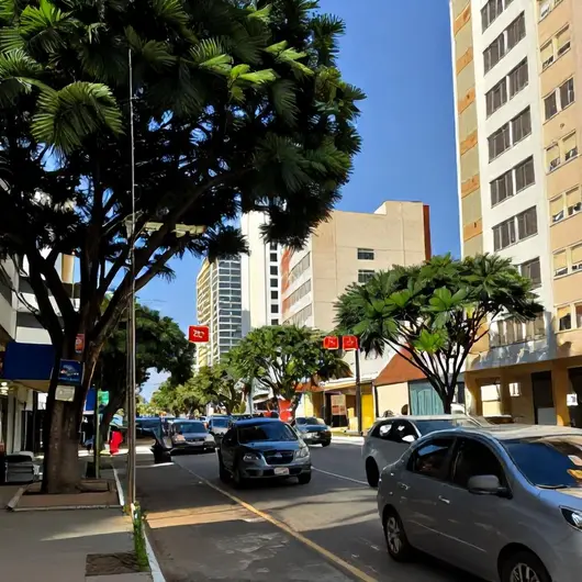 Tangol: Facilite Sua Experiência em Aracaju Tangol: Facilite Sua Experiência em Aracaju