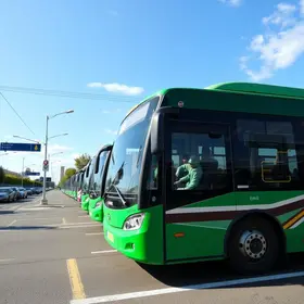 ônibus climatizados