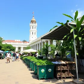 Prefeitura de Aracaju inicia compostagem de resíduos orgânicos de mercados e feiras livres compostagem