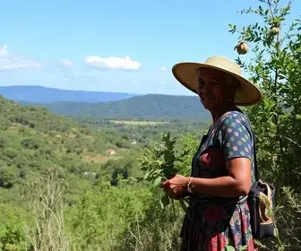 Conselho Gestor da Reserva das Mangabeiras